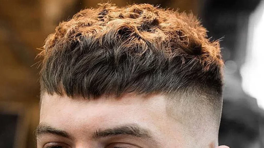 قصة شعر فرنسي للرجال