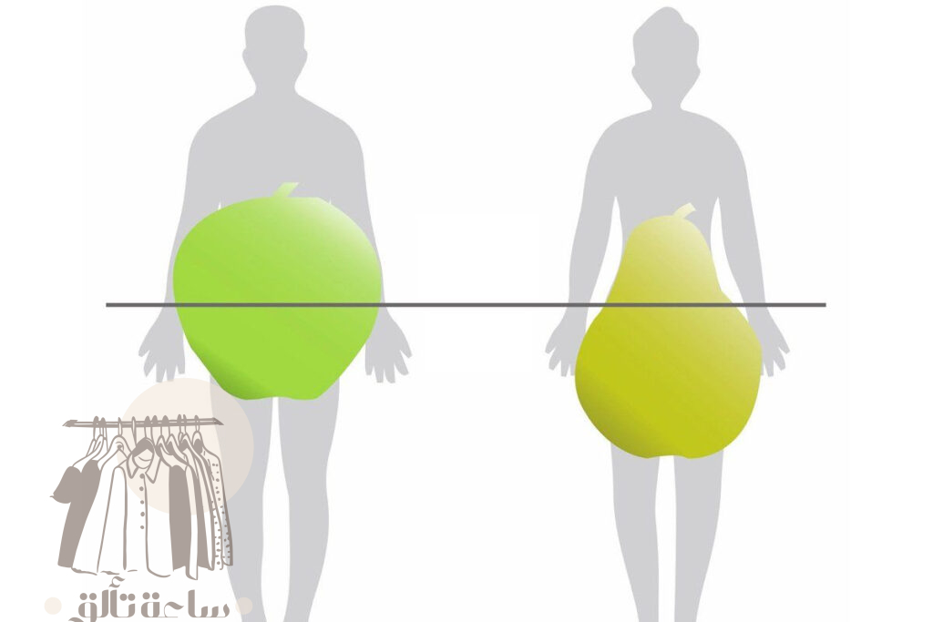 ما هو جسم الكمثرى وما هي مميزاته؟