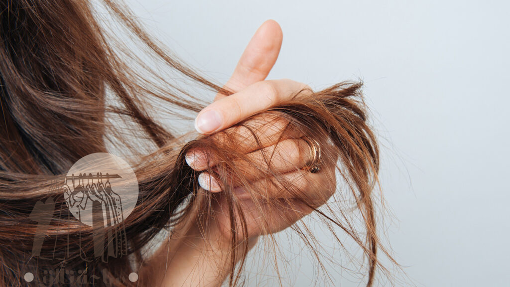 ما معنى مسامية الشعر وما أنواعها؟